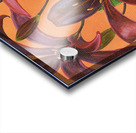 Lily Burst  Acrylic print