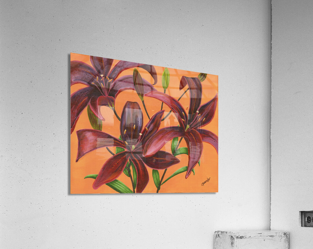 Lily Burst  Acrylic Print