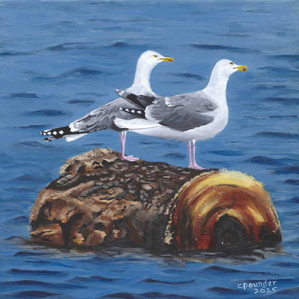 A cruise you said  by Carol Pounder Art