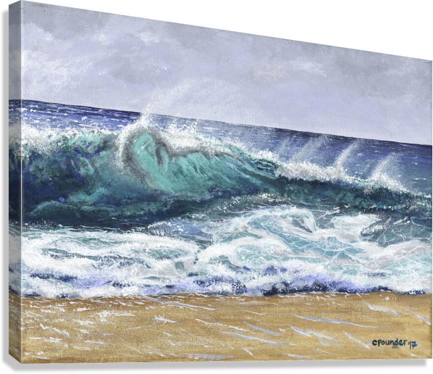 Ocean Spray Canvas Print