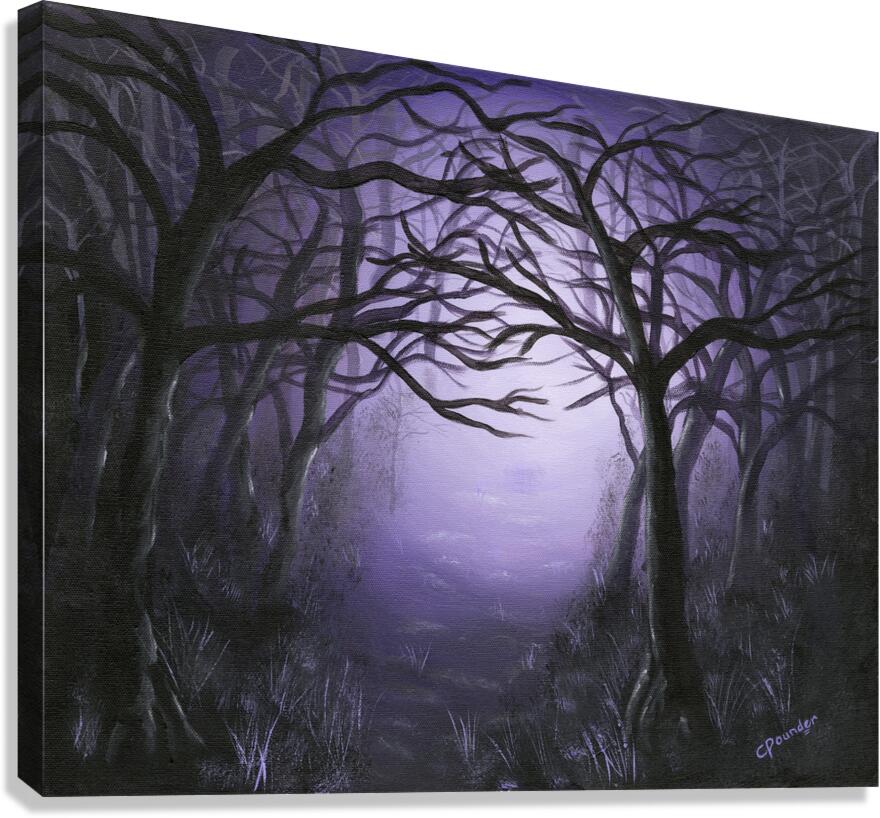 Drawn to the Light Canvas Print