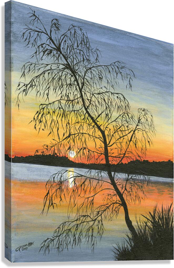 Shimmer Canvas Print