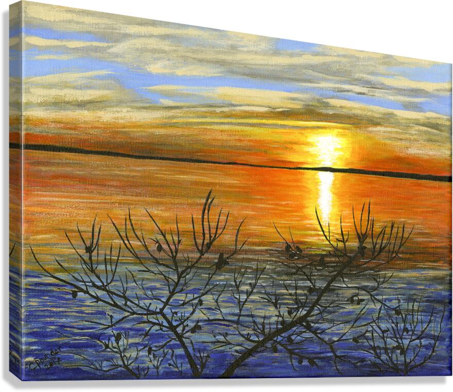 Days End Canvas Print