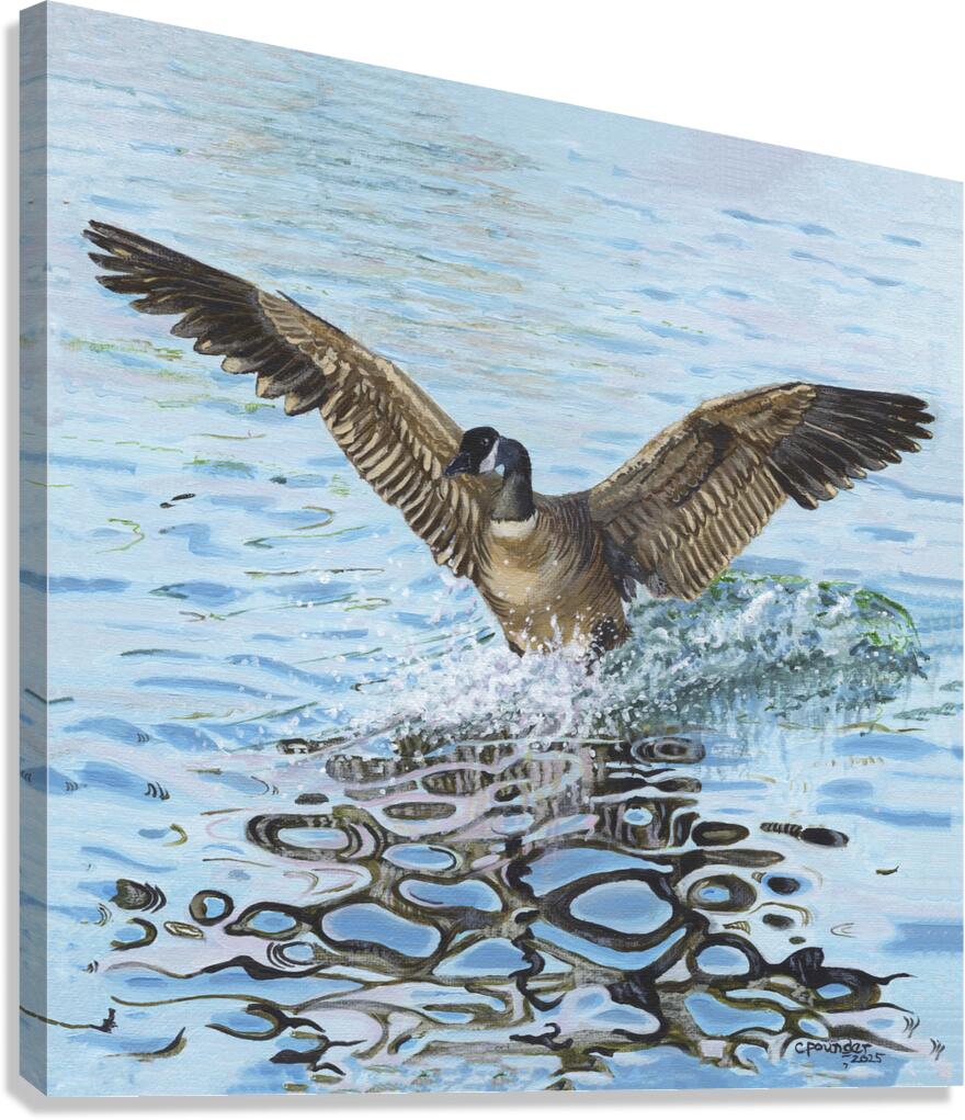 Making a Splash Canvas Print