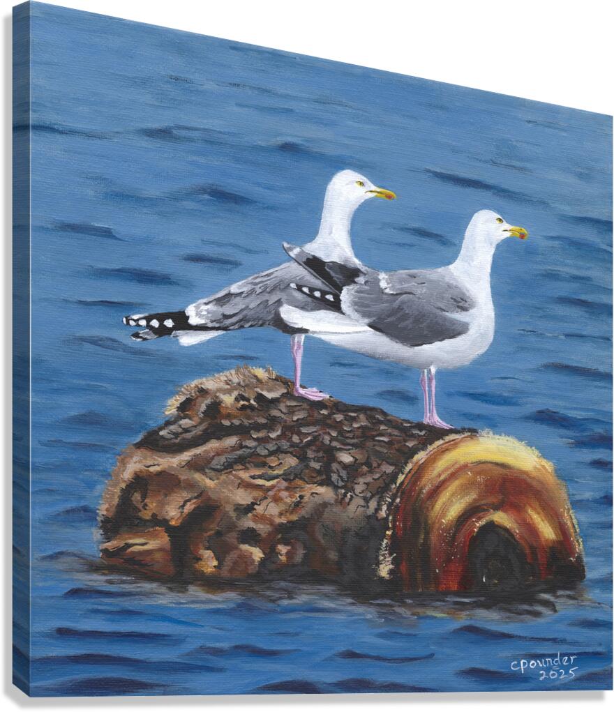 A cruise you said  Canvas Print