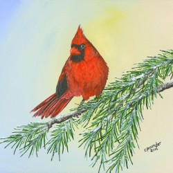 Cardinal 