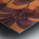 Lily Burst  Metal print