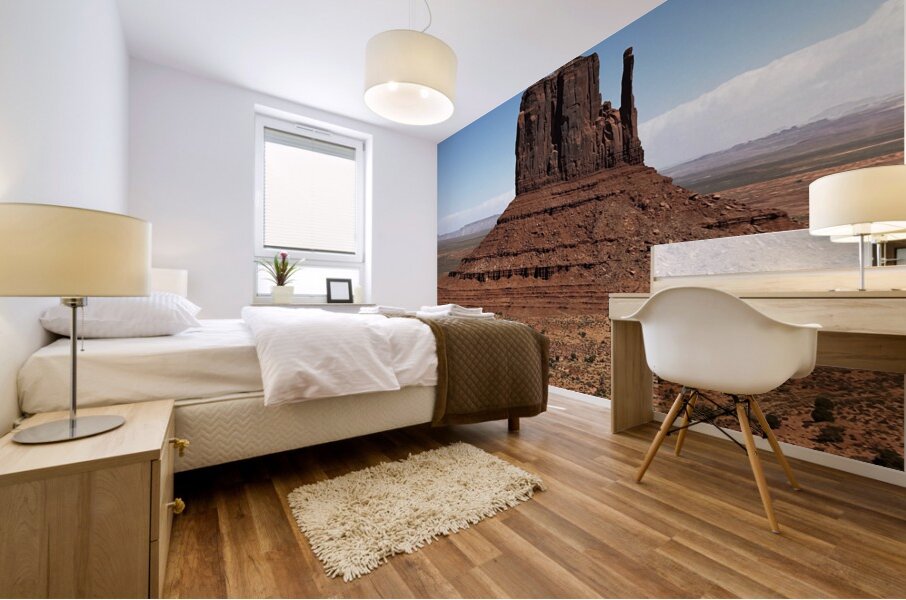Monument Valley 2 Mural print