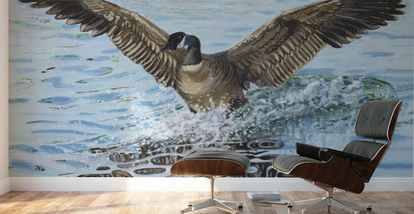 Making a Splash Wall Murals