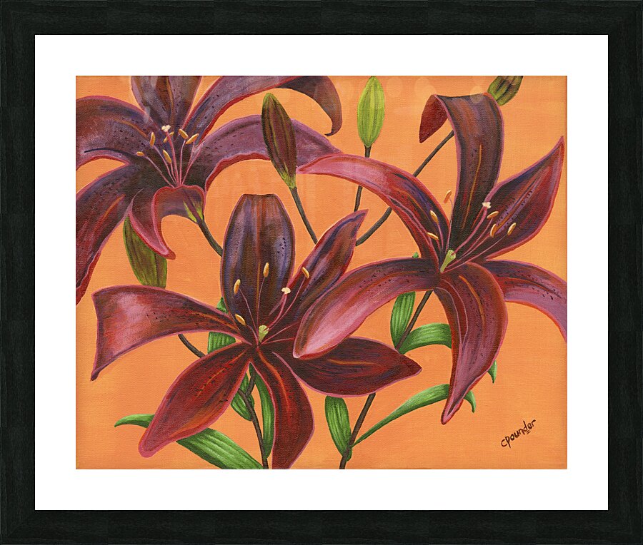 Lily Burst  Picture Frame print