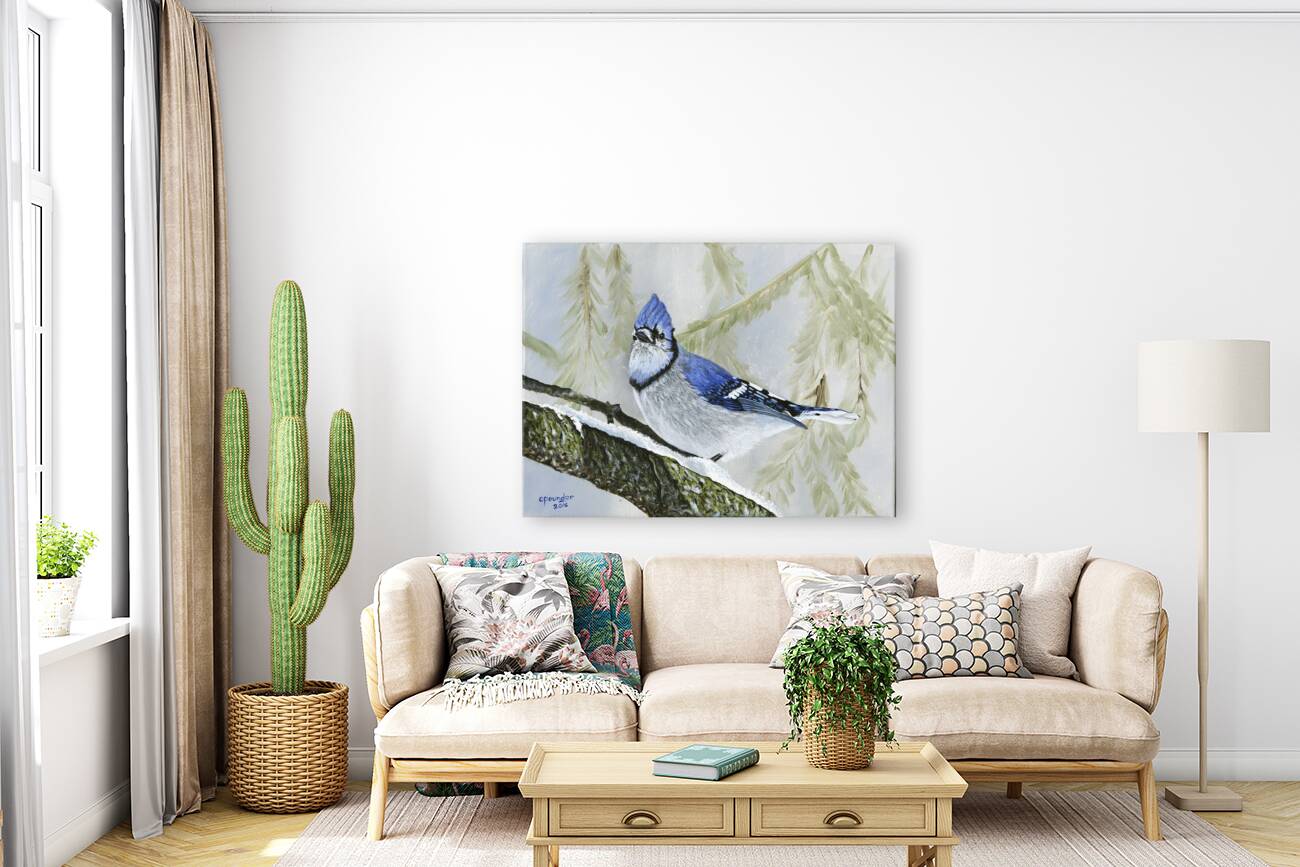 Winter Bluejay Reproduction