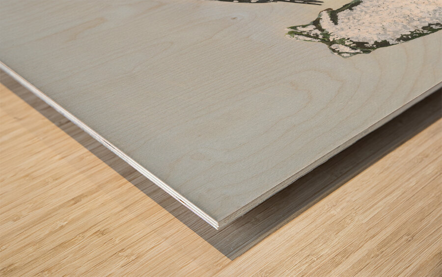 Downy Woodpecker Wood print