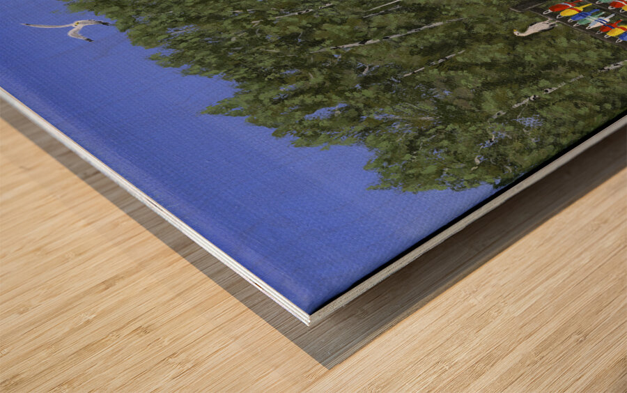 Seas the Day 3 Wood print